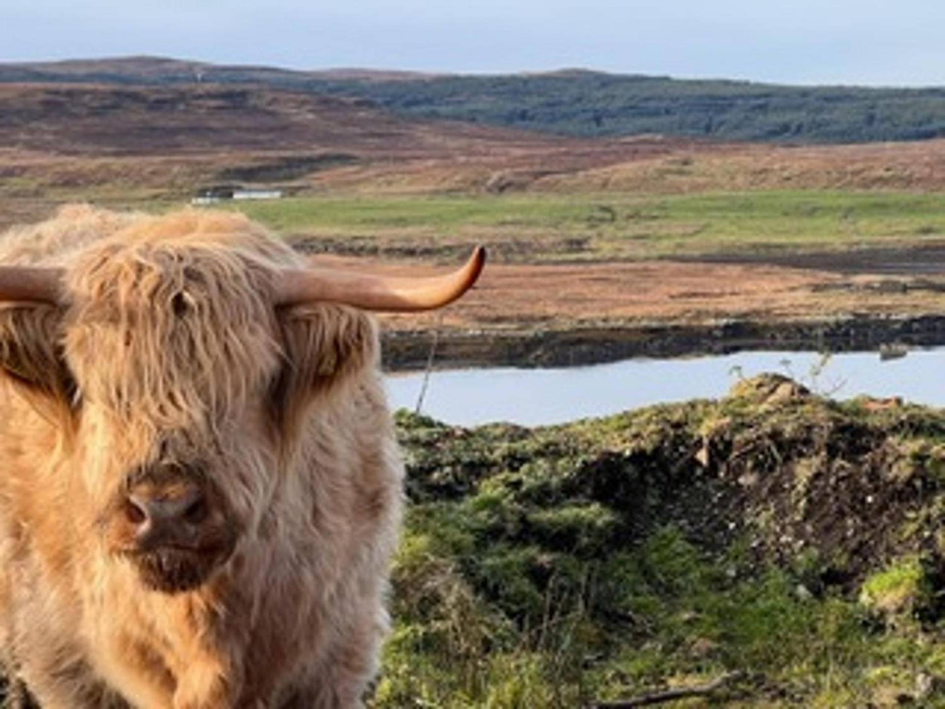 No 4 Old Post Office Row Isle Of Skye - Book Now! Villa Eyre Bagian luar foto